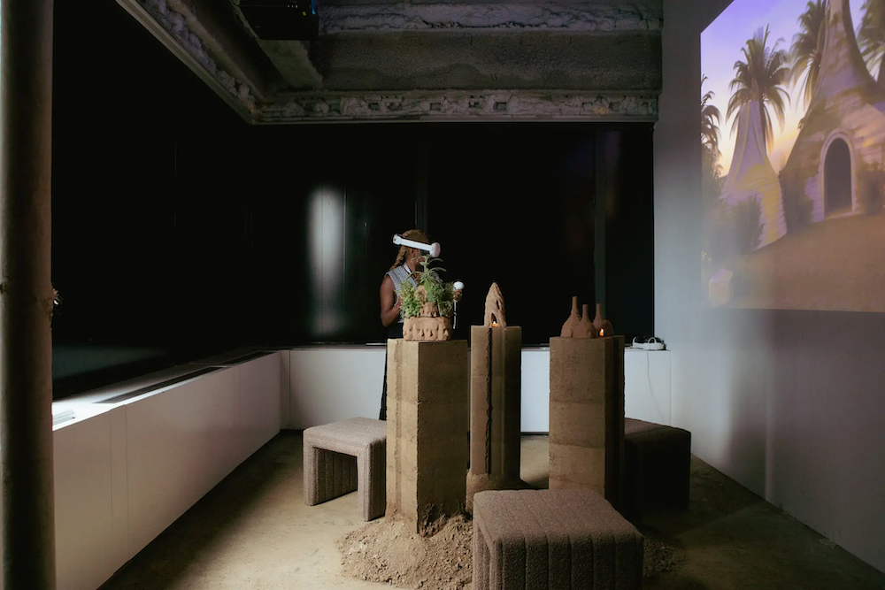 Watching the Future Hatch in the New Museum